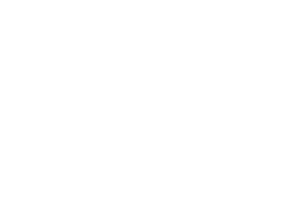 officialselection 29.filmfestivaltrkeideutschland 2025 (2)